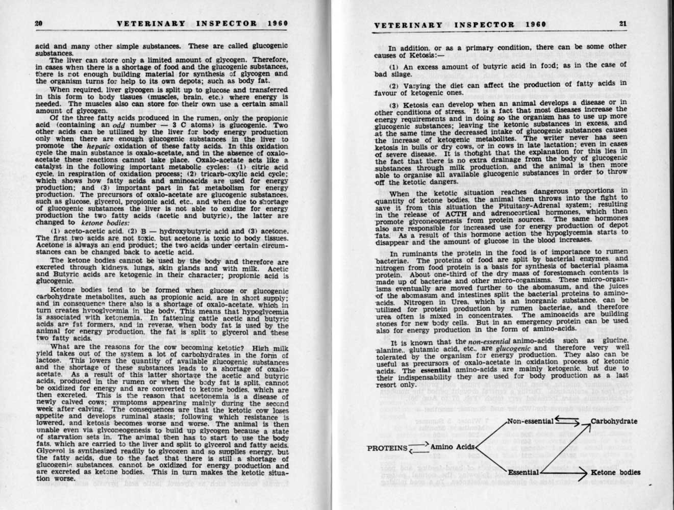 1960 Page 20 21